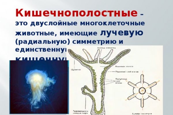 Кракен даркнет сайт ссылка