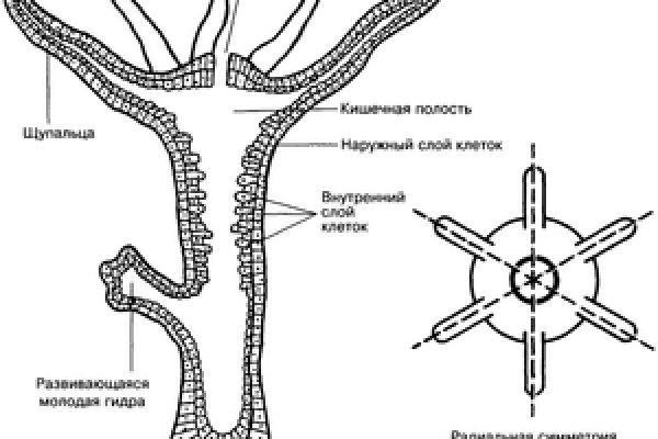 Купить закладку бошки